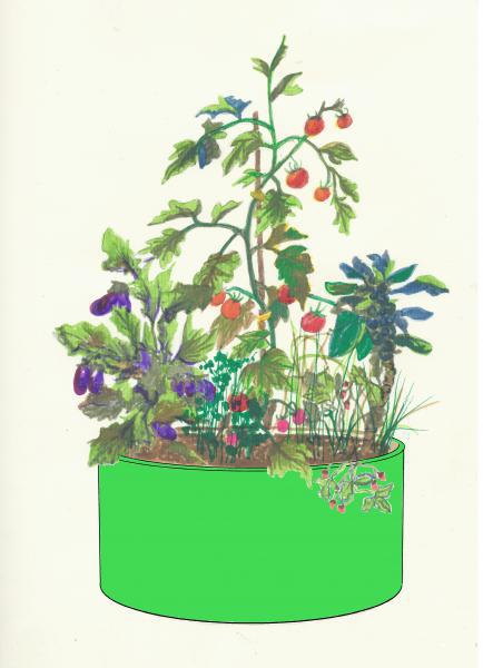 Carré potager béton couleur vert